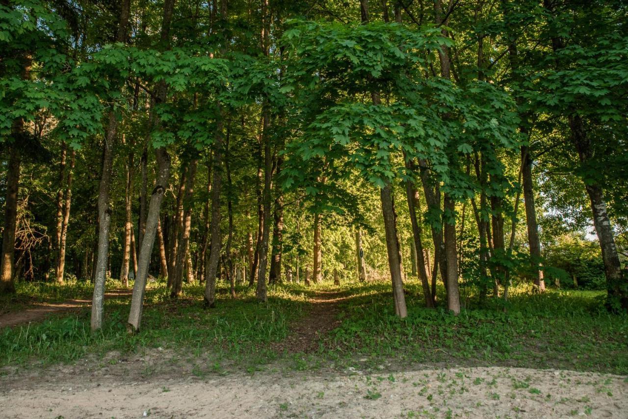 & Camper Place Camping *
